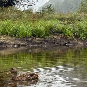 Meet your Posher, Yamilet